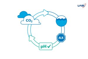 Axit Hóa Đại Dương: Hệ Quả Của Biến Đổi Khí Hậu Và Tác Động Đến Hệ Sinh Thái Biển