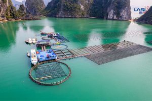 Giải Pháp Nuôi Trồng Thủy Sản Đột Phá Cho Thời Đại Mới
