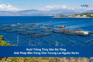 Nuôi Trồng Thủy Sản Đa Tầng – Giải Pháp Bền Vững Cho Tương Lai Nguồn Nước