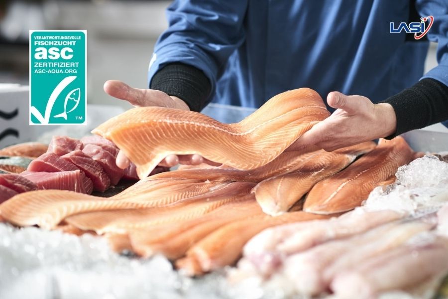 Chứng Chỉ ASC – Cánh Cửa Vào Chuỗi Giá Trị Toàn Cầu