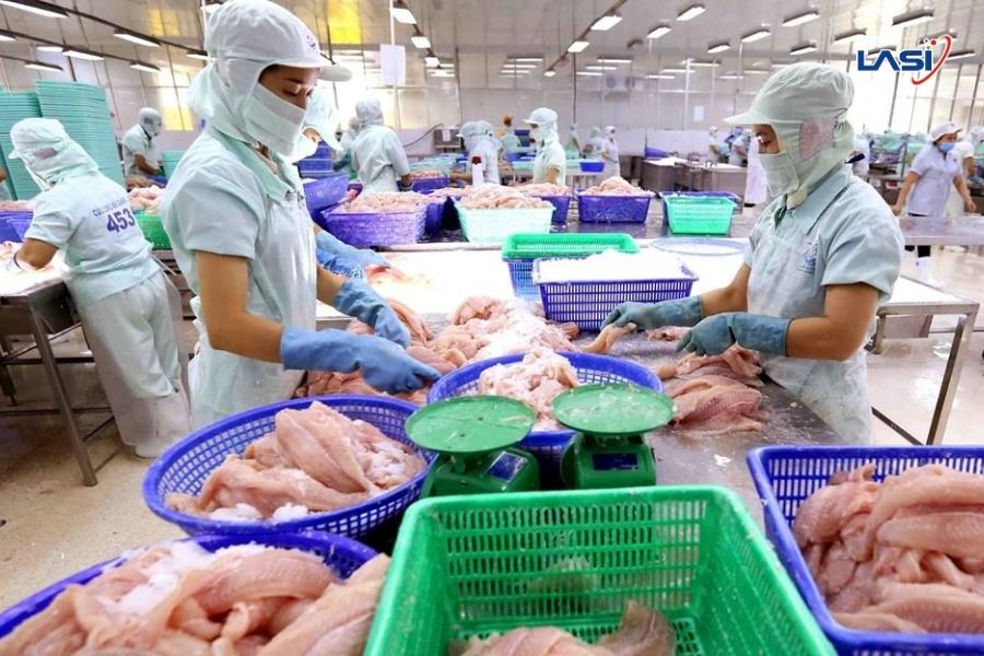 Chứng Chỉ MSC – Lời Cam Kết Cho Một Đại Dương Bền Vững