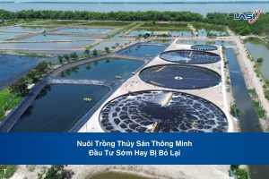 Nuôi Trồng Thủy Sản Thông Minh – Đầu Tư Sớm Hay Bị Bỏ Lại