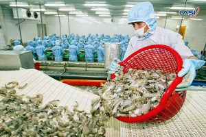 Nuôi Trồng Thủy Sản Thông Minh – Đầu Tư Sớm Hay Bị Bỏ Lại