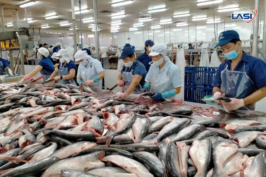 Thẻ Vàng IUU Ở Việt Nam Và Vai Trò Của Dữ Liệu Quan Trắc Trong Quản Lý