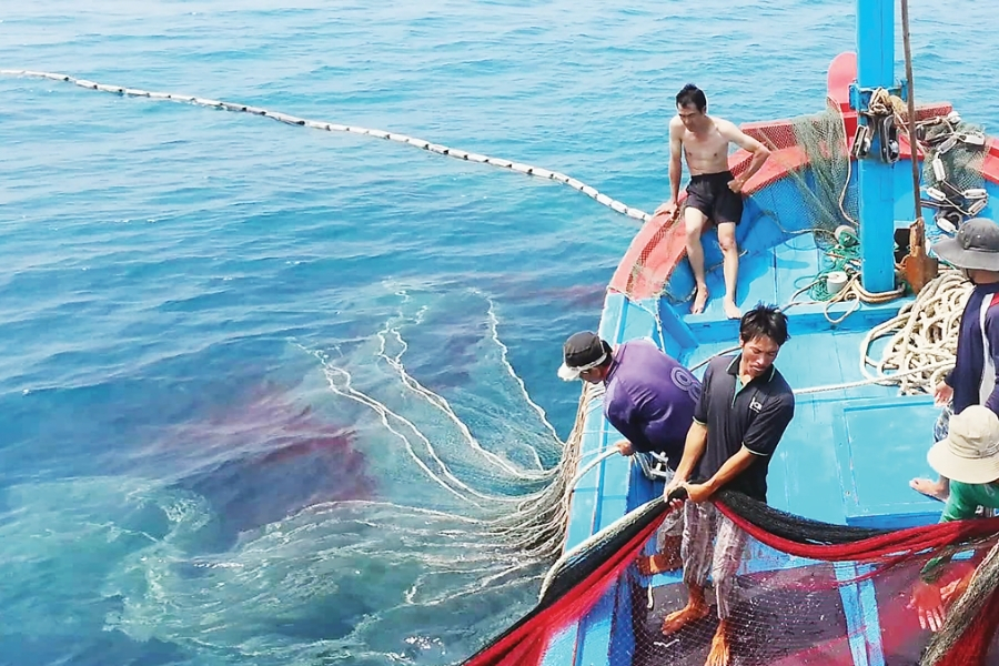 Thẻ Vàng IUU Ở Việt Nam Và Vai Trò Của Dữ Liệu Quan Trắc Trong Quản Lý