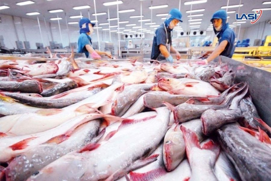 Diễn Biến Xuất Khẩu Thủy Sản Việt Nam 6 Tháng Đầu Năm 2025