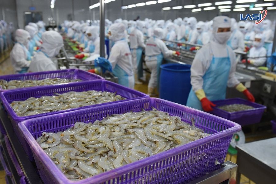 Diễn Biến Xuất Khẩu Thủy Sản Việt Nam 6 Tháng Đầu Năm 2025
