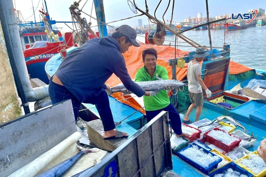 Khai Thác IUU Và Những Quy Định Ngư Dân Cần Biết