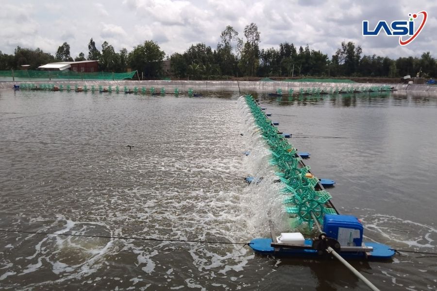 Khí Độc Nitrite: Những Lưu Ý Người Nuôi Trồng Thủy Sản Cần Biết