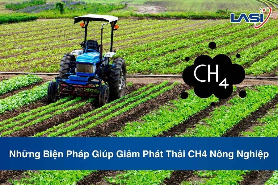 Những Biện Pháp Giúp Giảm Phát Thải CH4 Nông Nghiệp