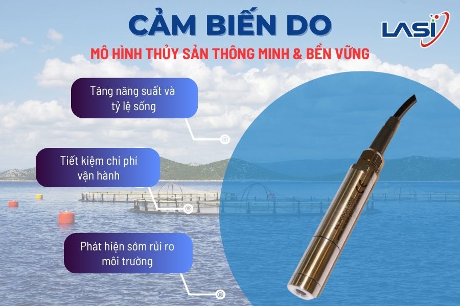 Nuôi Tôm Mùa Mưa: Thách Thức Và Biện Pháp Khắc Phục