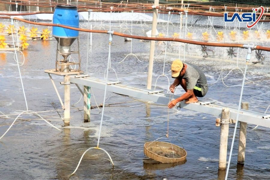 Những Chỉ Tiêu Về Môi Trường Nuôi Tôm Bà Con Nhất Định Phải Biết