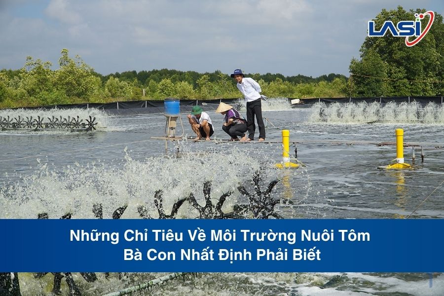 Những Chỉ Tiêu Về Môi Trường Nuôi Tôm Bà Con Nhất Định Phải Biết