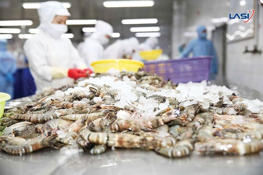 Xu Hướng Và Biến Động Giá Tôm 6 Tháng Cuối Năm 2025