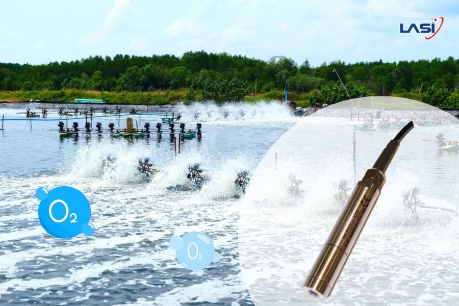 Kiểm Soát Chất Lượng Nước Trong Ao Nuôi Tôm