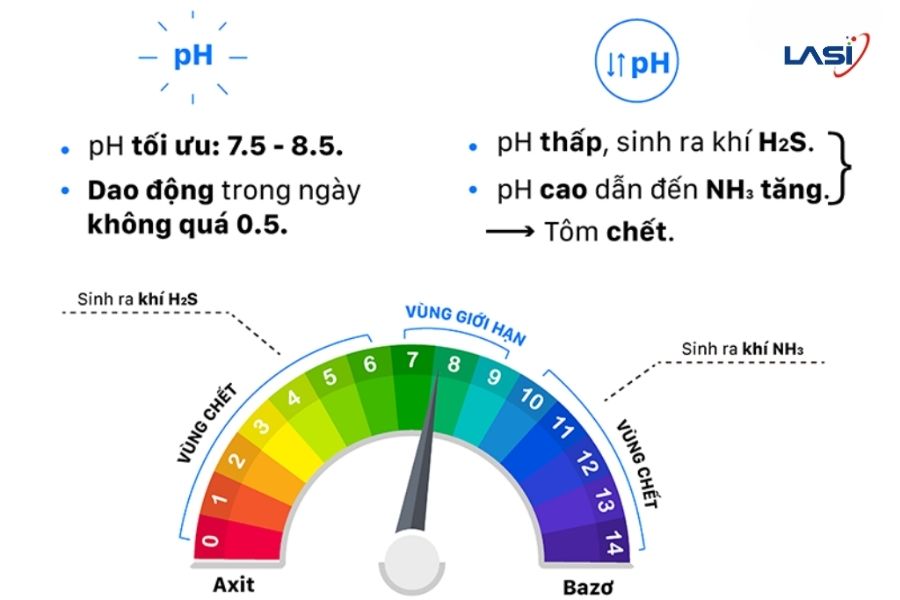 Kiểm Soát Chất Lượng Nước Trong Ao Nuôi Tôm