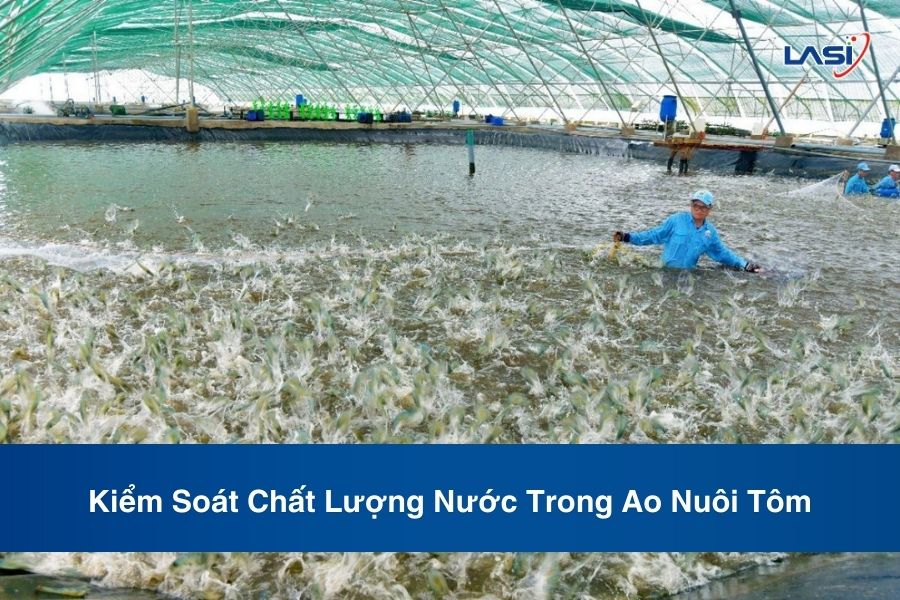 Kiểm Soát Chất Lượng Nước Trong Ao Nuôi Tôm