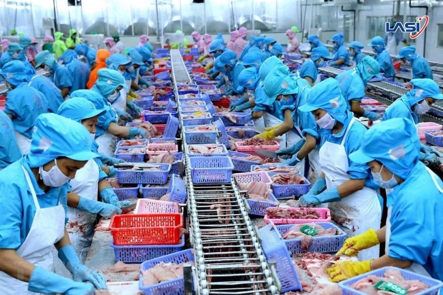 Mục Tiêu Và Thách Thức Về Xuất Khẩu Thủy Sản 2025 - 2026