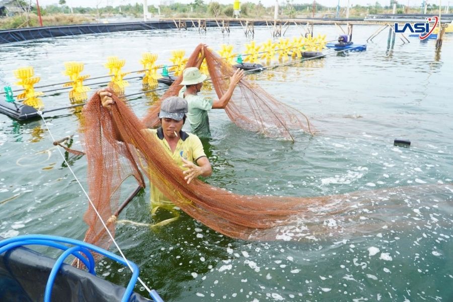 Ngành Thủy Sản Việt Nam Trên Hành Trình Xanh Hóa