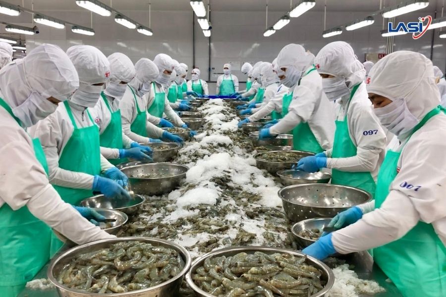 Những Lợi Ích Của Phương Pháp Nuôi Trồng Thủy Sản Hữu Cơ