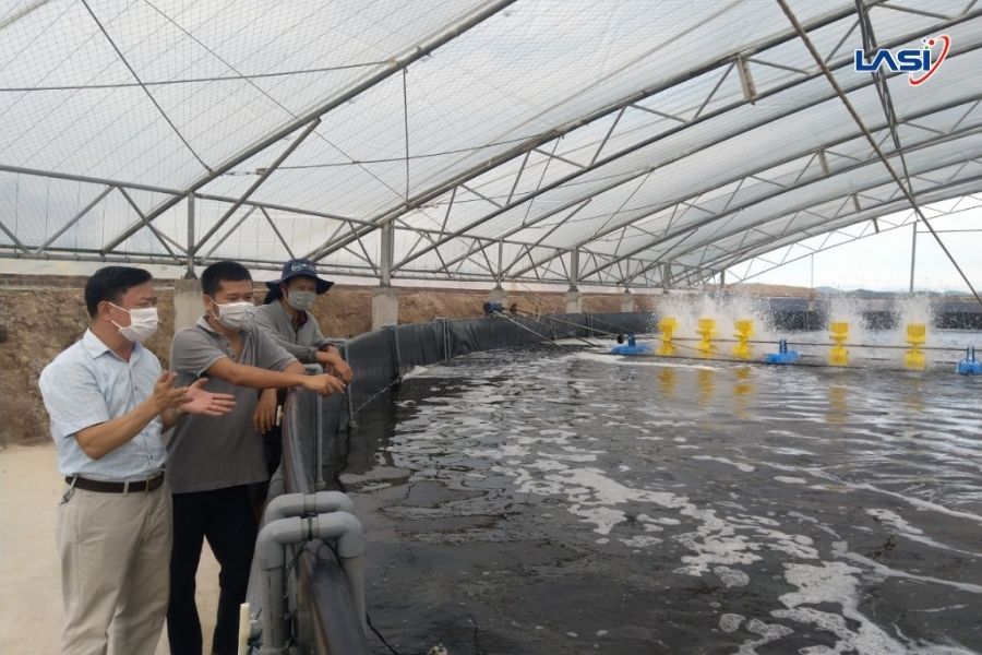Nuôi Tôm Mùa Mưa Bão: Giải Pháp Ứng Phó