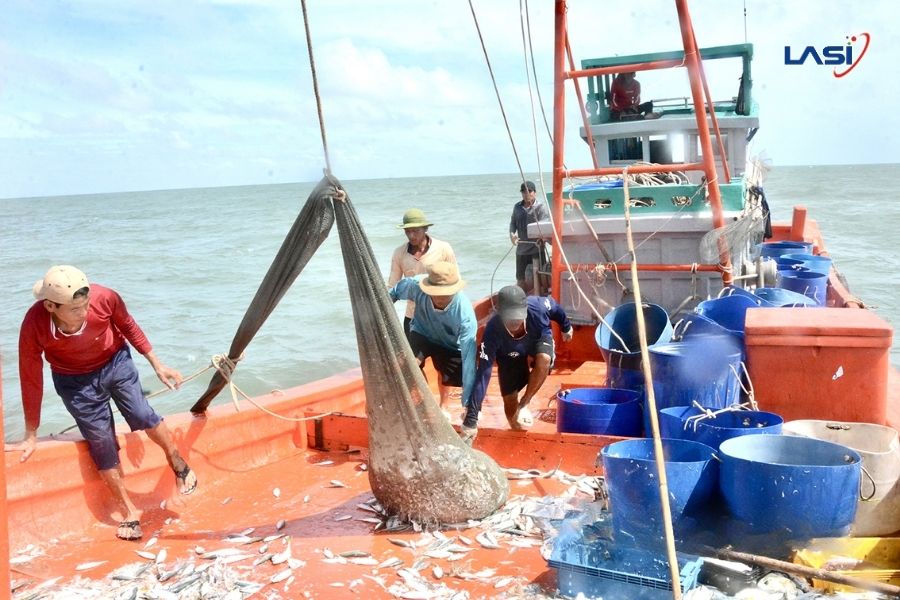 Thẻ Vàng IUU Đã Tác Động Đến Ngành Thủy Sản Việt Nam Như Thế Nào