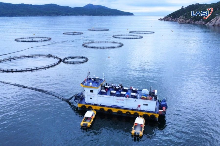 Tìm Hiểu Từ A - Z Về Nuôi Trồng Thủy Sản (Aquaculture)