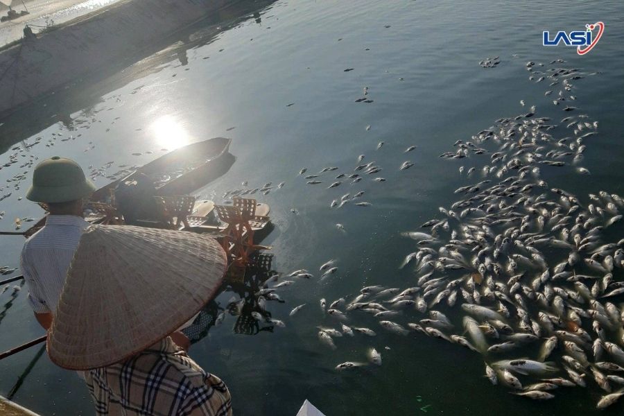 Tìm Hiểu Từ A - Z Về Nuôi Trồng Thủy Sản (Aquaculture)