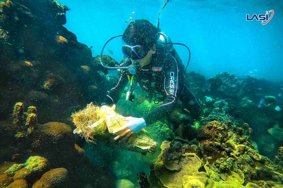 Tìm Hiểu Về Mô Hình MPAs (Marine Protected Areas)
