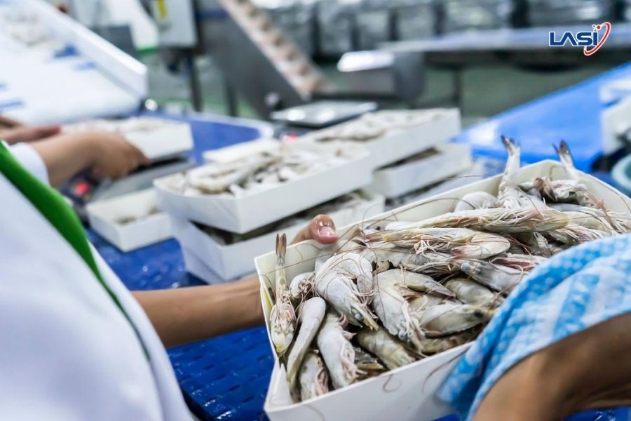 Xuất Khẩu Tôm Việt: Tôm Việt Giữ Lợi Thế Ở Phân Khúc Giá Trị Cao Tại EU