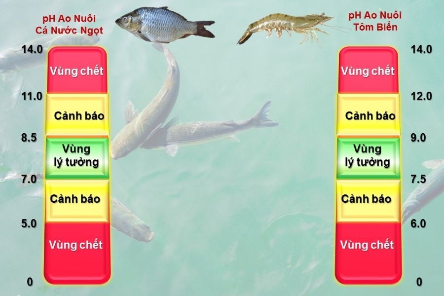 Yếu Tố Ô Nhiễm Trong Môi Trường Nước Nuôi Tôm