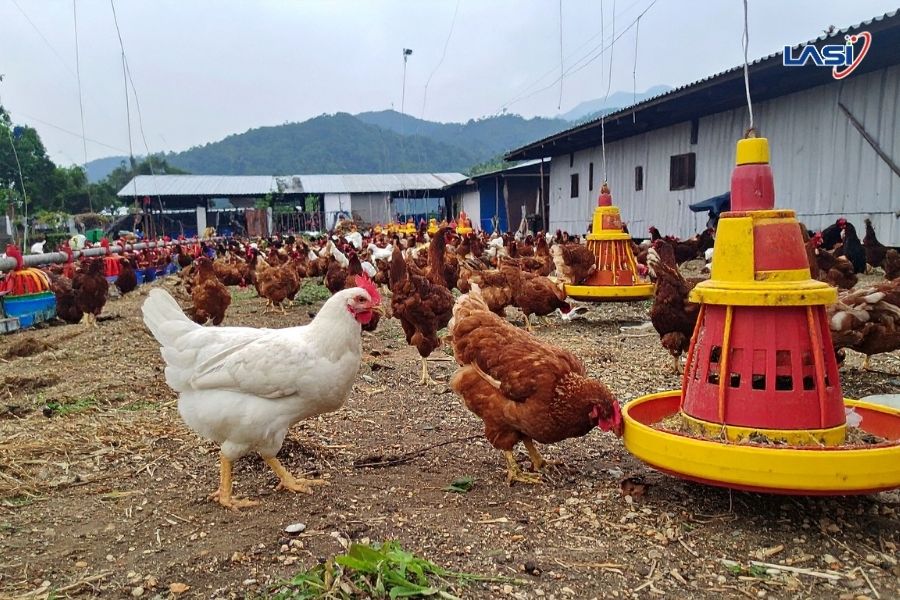 Các Hoạt Động Phát Thải Khí Nhà Kính