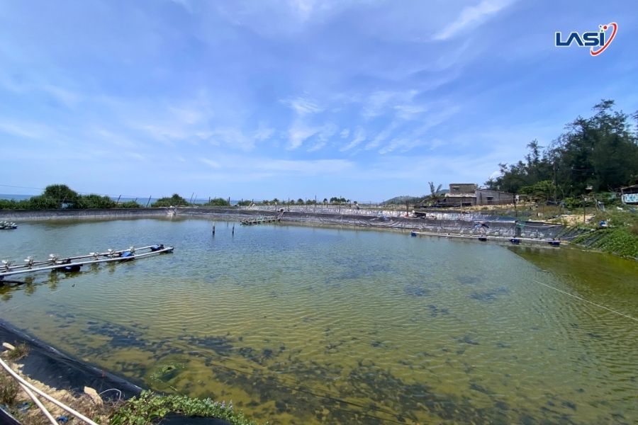Công Nghệ Nuôi Trồng Thủy Sản Thông Minh