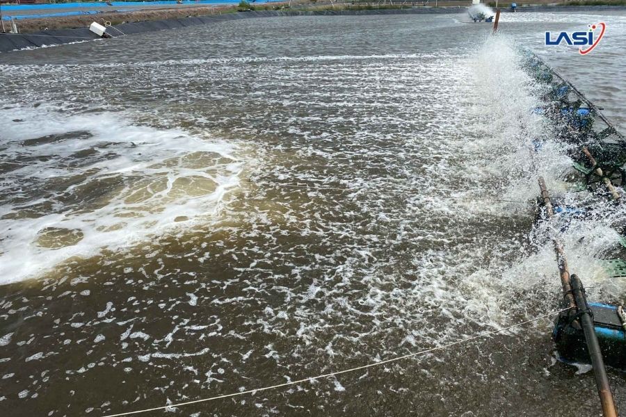 Những Lưu Ý Khi Nuôi Trồng Thủy Sản Trong Mùa Mưa Bão