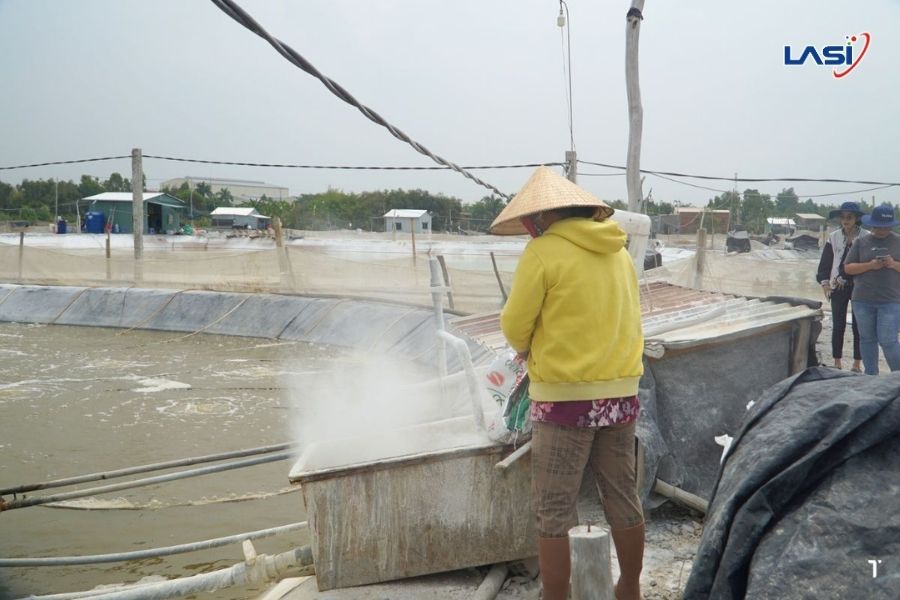 Những Lưu Ý Khi Nuôi Trồng Thủy Sản Trong Mùa Mưa Bão