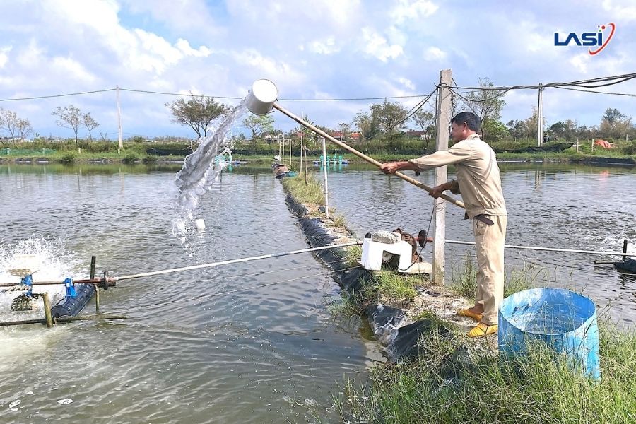 Nuôi Tôm Mùa Mưa Bão: Khắc Phục Hậu Quả Bão Lũ Với Ao Nuôi Trồng Tôm