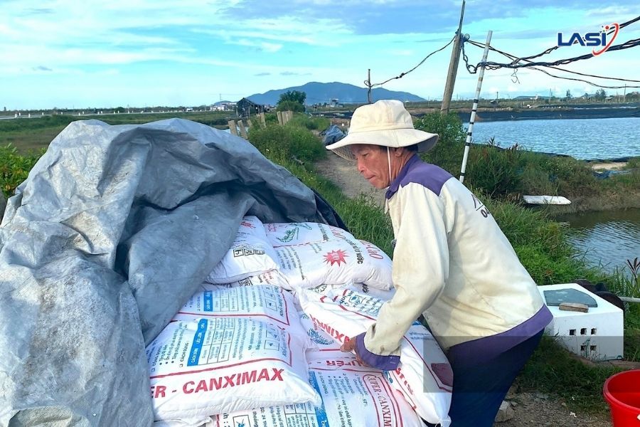 Nuôi Tôm Mùa Mưa Bão: Khắc Phục Hậu Quả Bão Lũ Với Ao Nuôi Trồng Tôm