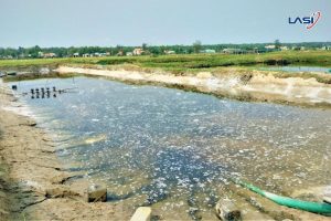 Nuôi Trồng Thủy Sản Thông Minh Và Bền Vững