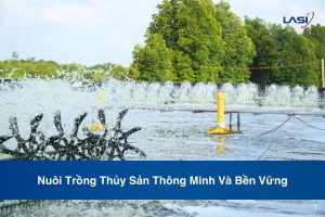 Nuôi Trồng Thủy Sản Thông Minh Và Bền Vững