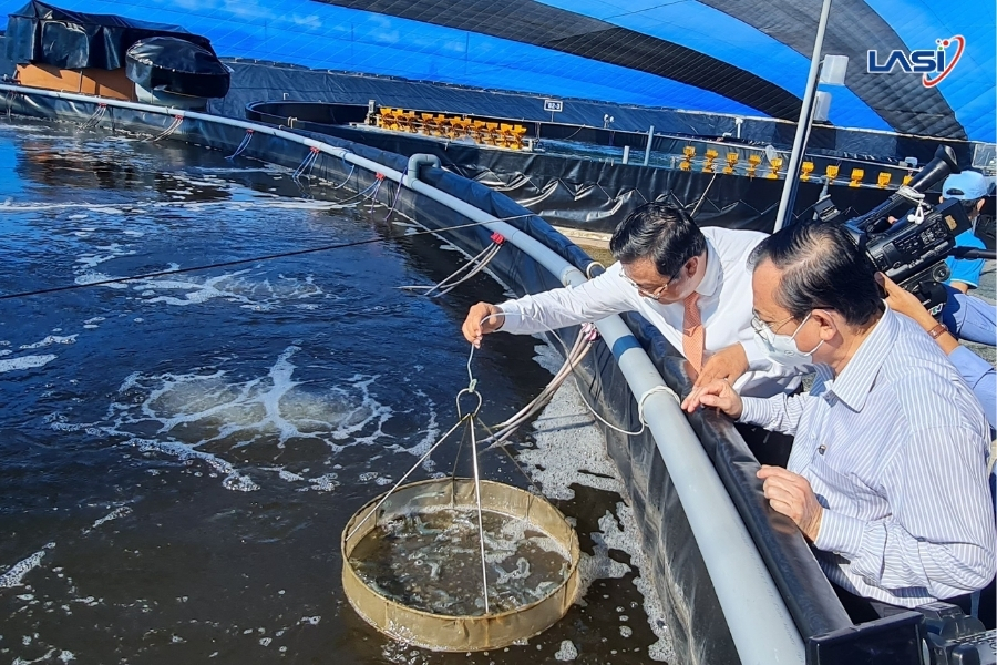 Tìm Hiểu Quy Trình Nuôi Trồng Hải Sản Hữu Cơ Chuẩn Quốc Tế