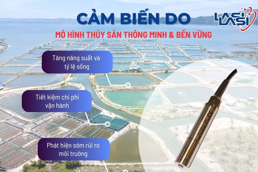 Các Phương Pháp Tối Ưu Hóa Phát Triển Thủy Sản