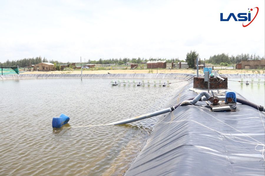 Cần Làm Gì Để Quản Lý Ao Nuôi Tôm Mùa Mưa