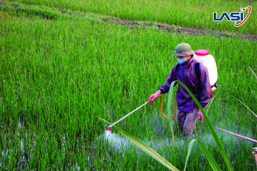 Giải Pháp Giảm Phát Thải CO₂ Nông Nghiệp