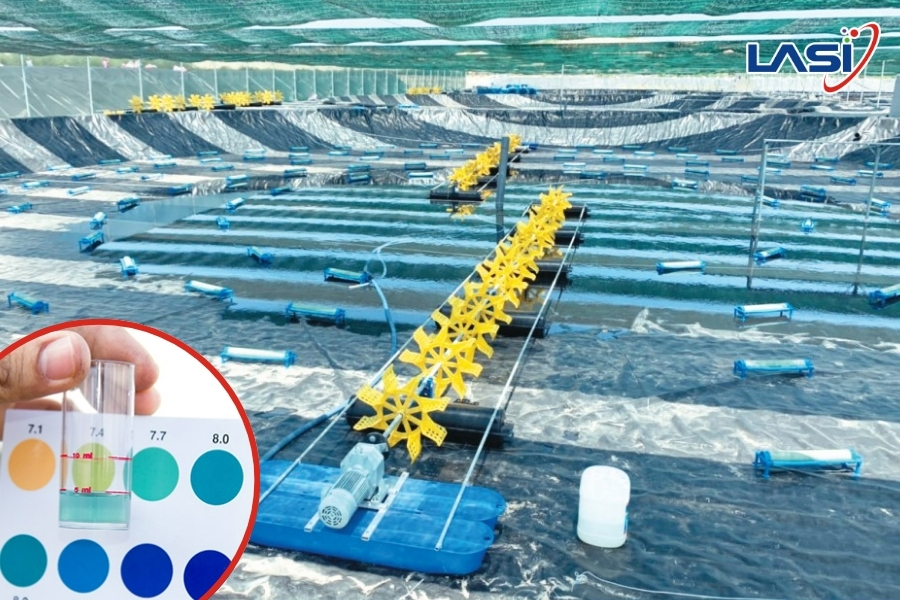 Nuôi Tôm Trong Mùa Mưa: Hướng Dẫn Kiểm Soát Ph, DO Và Độ Mặn Hiệu Quả