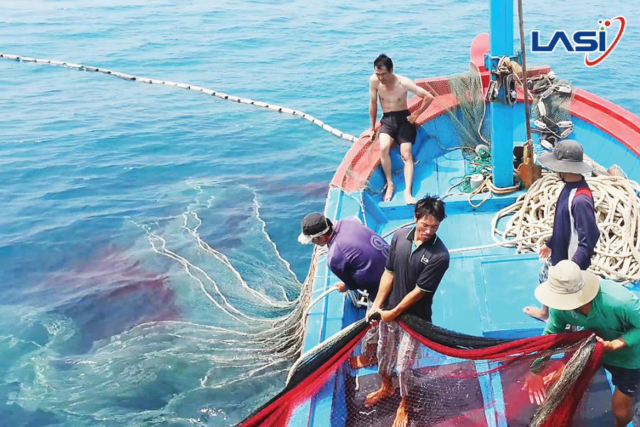 Vai Trò Của Thẻ Vàng Thủy Sản Đối Với Ngành Thủy Sản