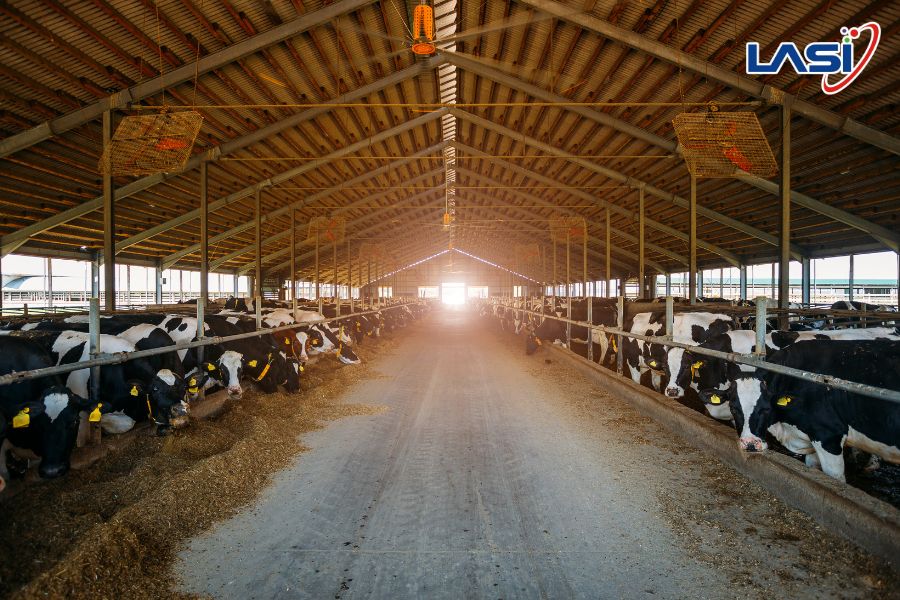 Các Nguồn Phát Thải Trong Nông Nghiệp