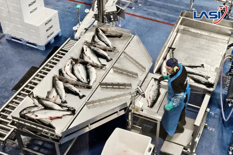 Chứng Nhận BAP - "Giấy Thông Hành" Cho Tôm Xuất Khẩu