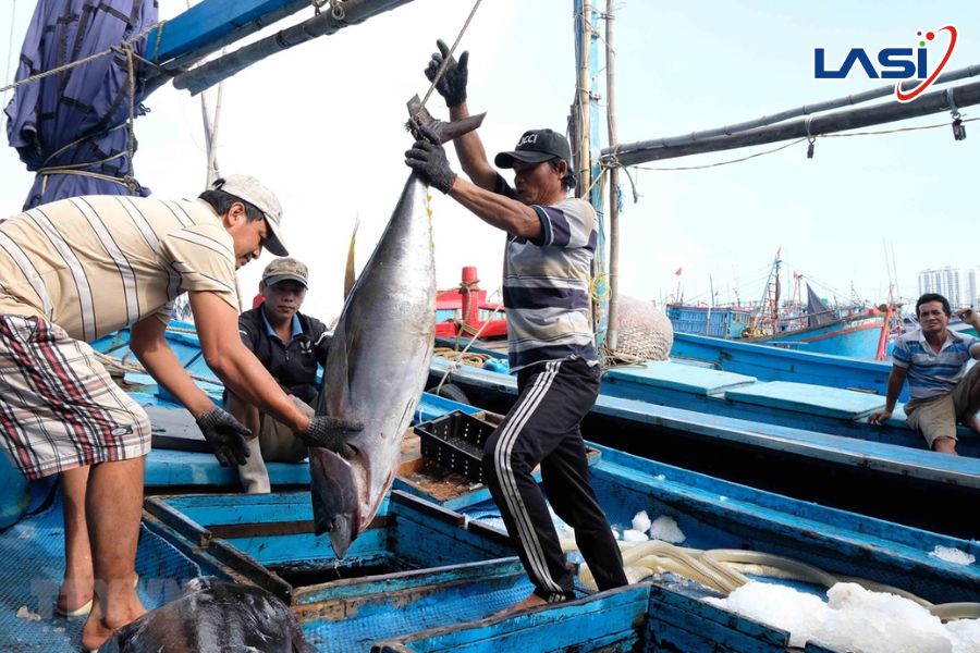 Đâu Là Giải Pháp Cho Thẻ Vàng Hải Sản Việt Nam