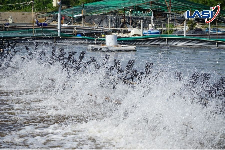 Giải Pháp Khắc Phục Tôm Thiếu Oxy