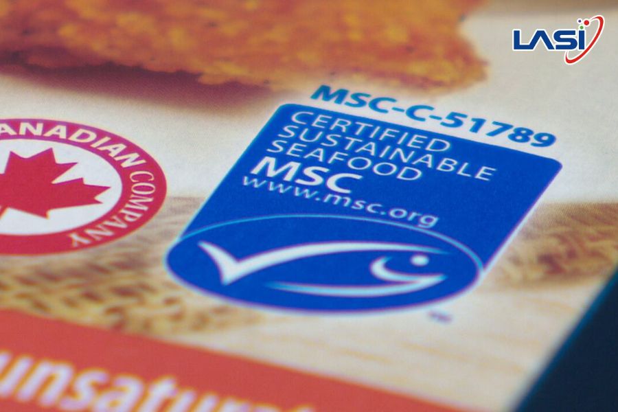 Lợi Ích Của Chứng Nhận MSC Đối Với Nghề Khai Thác Thủy Sản